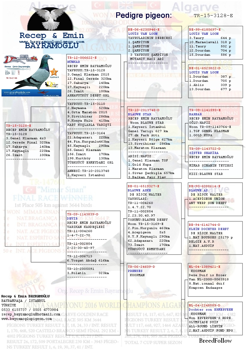 Blog One