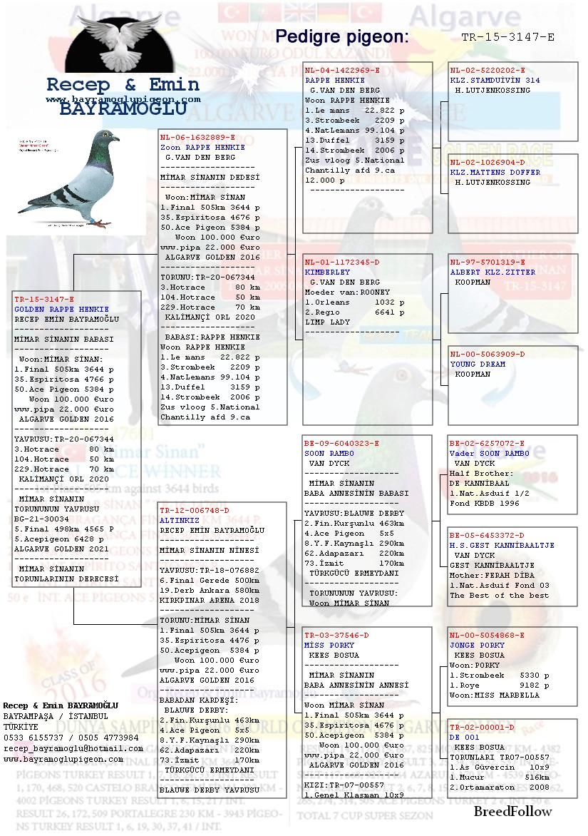 Blog One