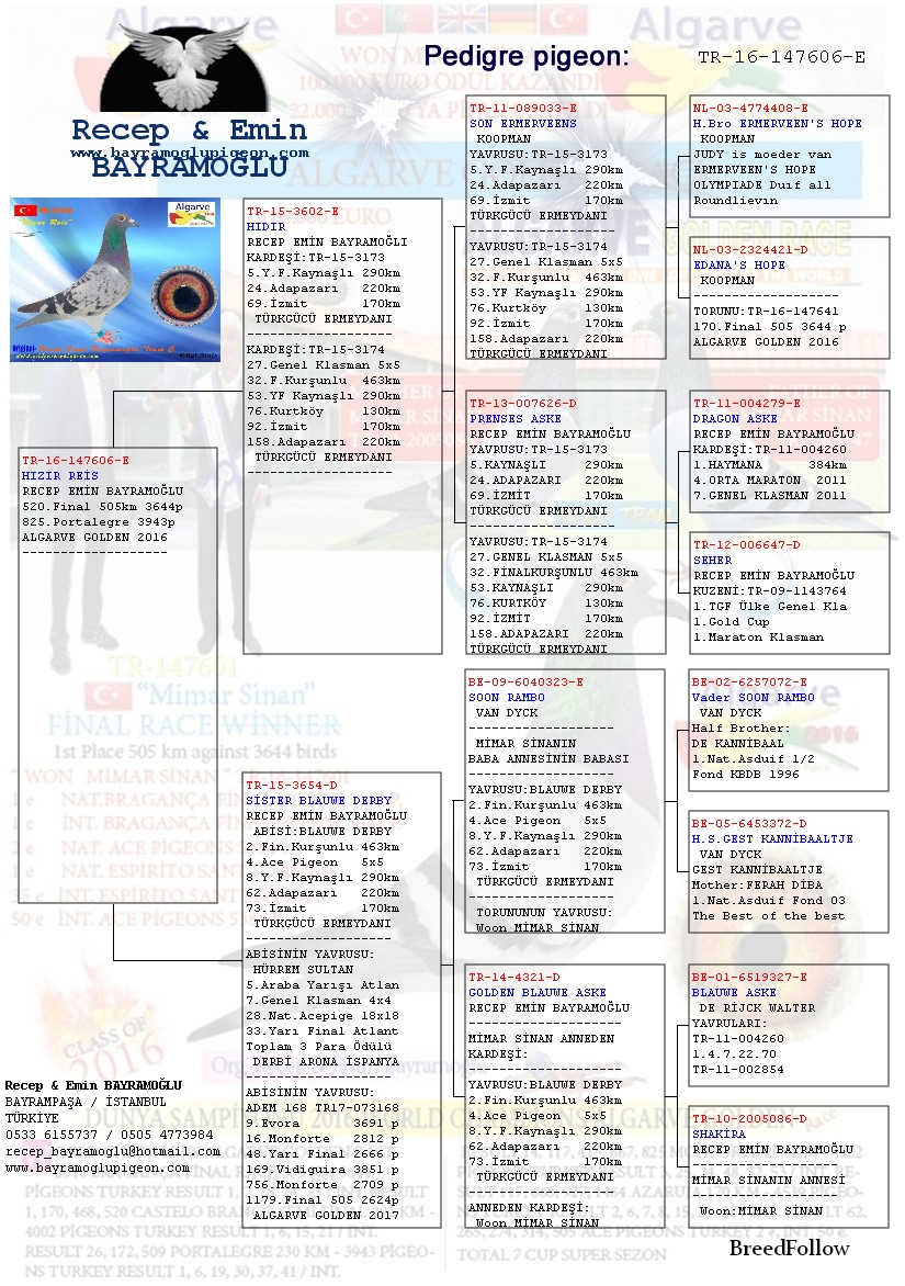 Blog One