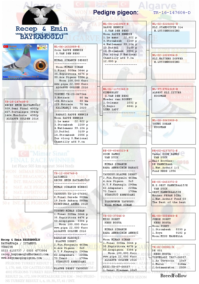 Blog One