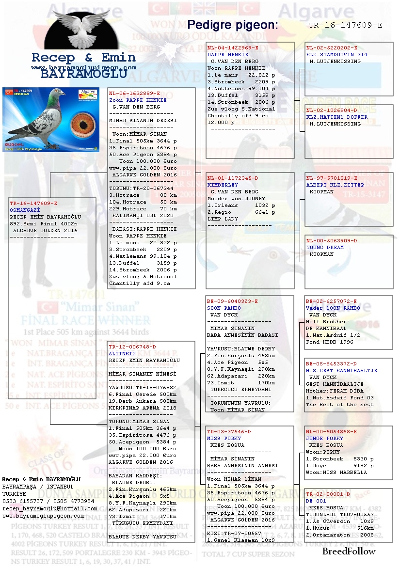 Blog One