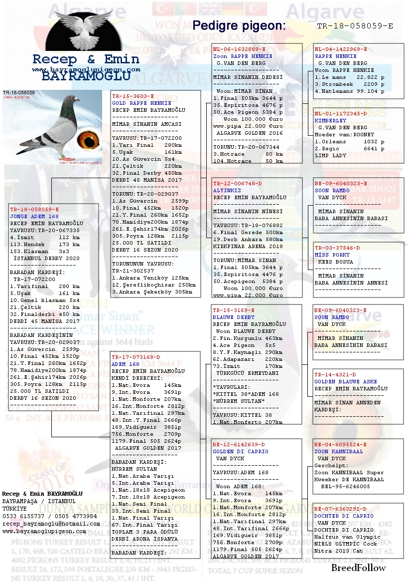 Blog One