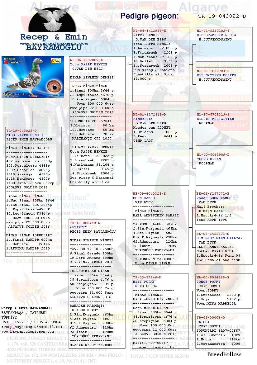 Blog One